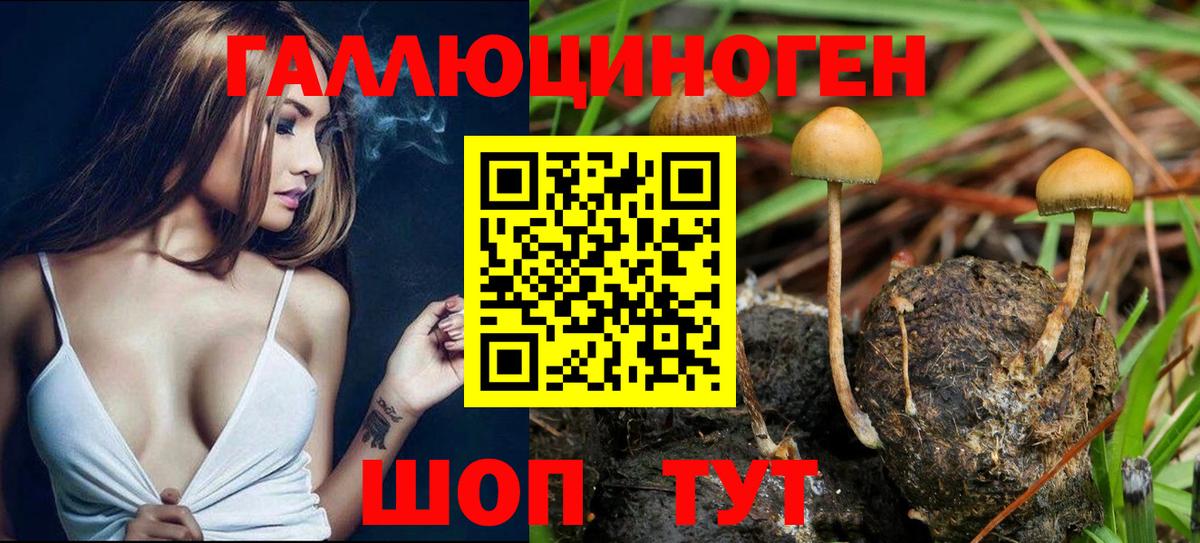 Анжеро-Судженск  Галлюциногенные грибы GOLDEN TEACHER  Вход с VPN 